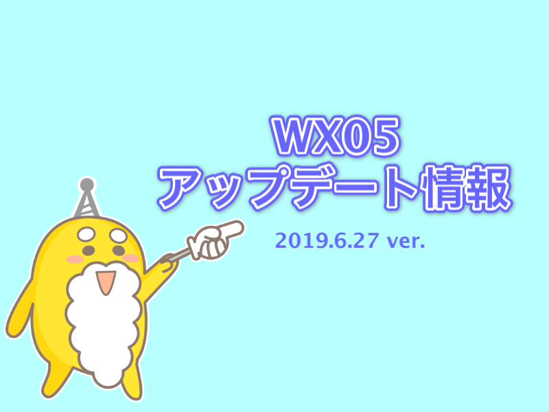 WiMAX WX05